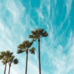 How to choose music for a podcast?