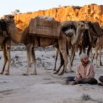 Indie filmmakers' challenges and uprising in COVID-19